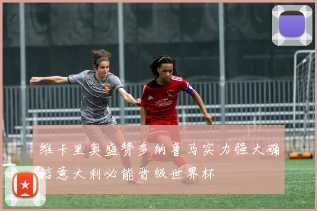 维卡里奥盛赞多纳鲁马实力强大确信意大利必能晋级世界杯