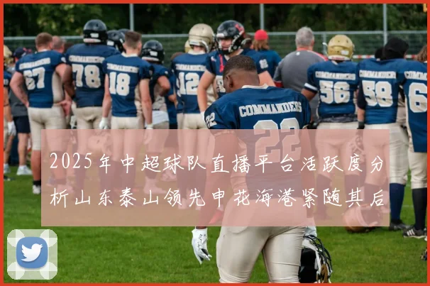 2025年中超球队直播平台活跃度分析山东泰山领先申花海港紧随其后