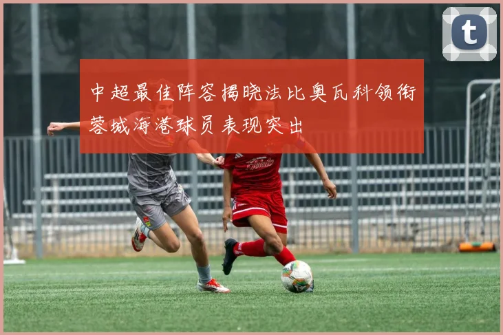 中超最佳阵容揭晓法比奥瓦科领衔蓉城海港球员表现突出