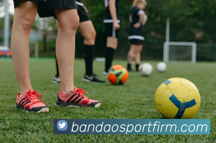 半岛体育发展历程